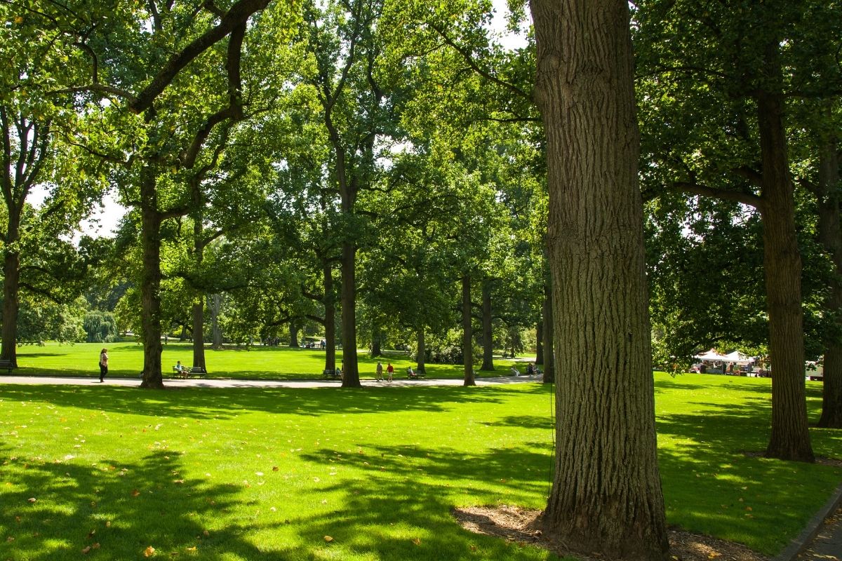 Frédéric Massot, un maire pour les espaces verts